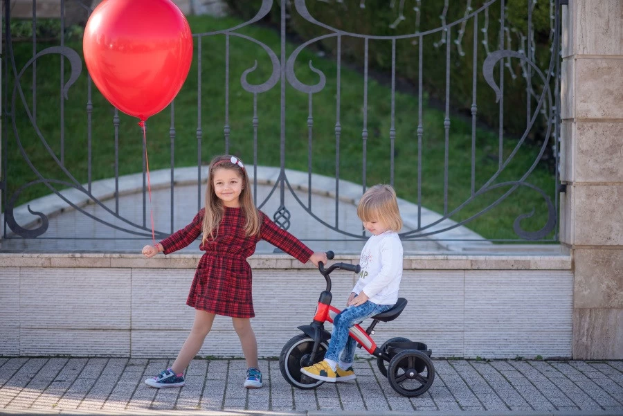 Lorelli Dallas Red Driewieler 1005050-004 - Afbeelding 10